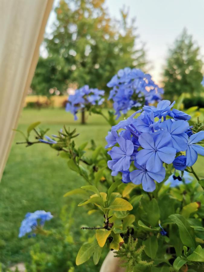 Marcaria B&B Casazze Dream מראה חיצוני תמונה